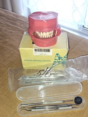 Nissin Dental Model With Instruments